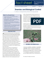 Aphid Natural Enemies and Biological Control