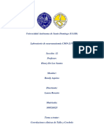 Correlaciones Clínicas de Tallo y Cerebelo Neuroanatomía