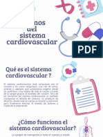 Organos Del Sistema Cardiovascular