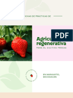 Manual Sobre Agricultura Regenerativa en Cultivo de Fresa