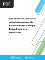 Encuadre Teórico Lineamientos ESI