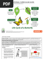 Grade 3 - Science - Curriculum Guide - Renewed 2022 PDF