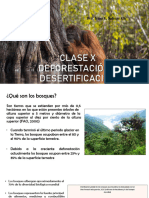 Clase 10 Deforestacion y Desertificacion Irina 2023