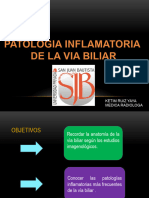 Patologia Inflamatoria de La Via Biliar