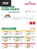 Body Condition Score Charts Cat and Small Dog