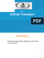 Lesson 3 Cellular Transport