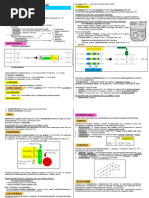 LÍPIDOS ESQUEMA (Para Los Chicos)