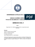 Programa Derecho Civil V Plan 2010