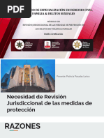 Sesión 13 - Revisión Jurisdiccional de Las Medidas de Prevención en Los Delitos de Violencia Familiar - Dra. Patricia Isabel Posadas