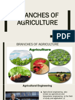 Branches of Agriculture (Agri-Fishery Arts)