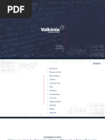 Valkimia - Resumen Branding