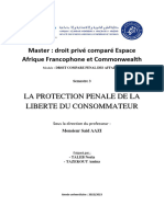 Protection Panale de La Liberte Du Consommateur