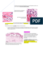 Inflamación Imagenes Pato