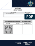 FICHA - Biomecanica Ok