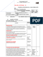 File 2 FICHA de ACTIVIDAD 02 Depilación de Cejas Con Bandas 2024