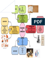 Mapa Mental Evolucion de La Comunicacion