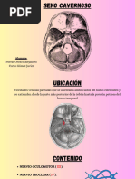 Exposición Clinica Neuro