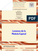 Lesión en Medula Espinal