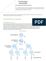 DIS - EMB - VET - U2 - Webaula