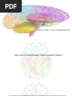 Neuropsicología Enero 2022