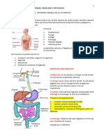 Tema 6.2 - Aparato Digestivo Completo