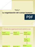 Tema 1-La Organización Del Cuerpo Humano