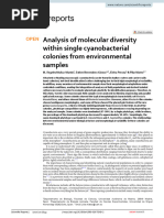 Analysis of Molecular Diversity Within Single Cyan