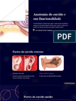 Anatomia Do Ouvido e Sua Funcionalidade