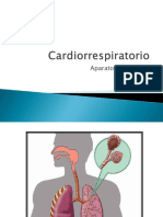 Aparato Respiratorio