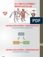 Aula Sistema Circulatorio Coração 2404