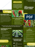 Leaflet Antraknosa