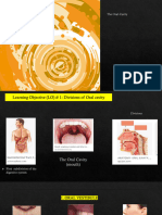 Oral Cavity