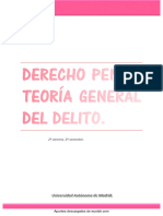 Tº Delito - PDF'