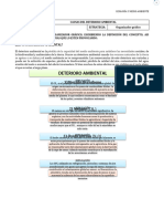 Causas - Det-Ambiental