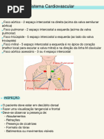 Exame Cardio