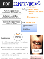 TEMA 23 Flia Herpetoviridae Herpes Virus