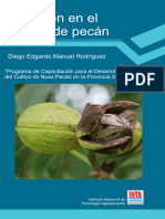 INTA CRCorrientes EEABellaVista Rodríguez DEM Nutrición Cultivo Pecán