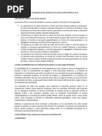 Tarea 2 Análisis Sobre El Impacto de Las Texturas de La Mena y Otros Factores en El Procesamiento