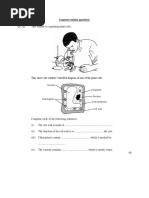 Enzymes Revision Questions