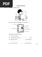 Enzymes Revision Questions