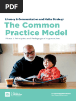 Phase 1 of The Common Practice Model May 2023