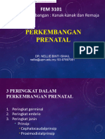 Notes - Week 2 - Prenatal Development - En.ms