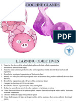 L8 & 9 Endocrine Glands