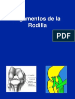 05 - A - Ligamentos de La Rodilla