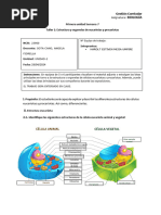 Taller Estructura Celula Eucariota y Procariota - Harolt Estiven