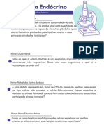 Questões Histologia Sistema Endócrino