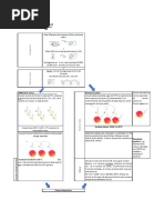 01.bacillus Cereus Diagrama de Flujo