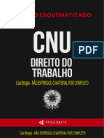 Resumo Direito Do Trabalho