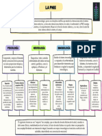 Mapa Conceptual de LA PNIE