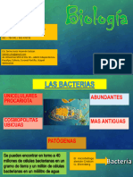 Diapositivas Semana 4 Ultimo